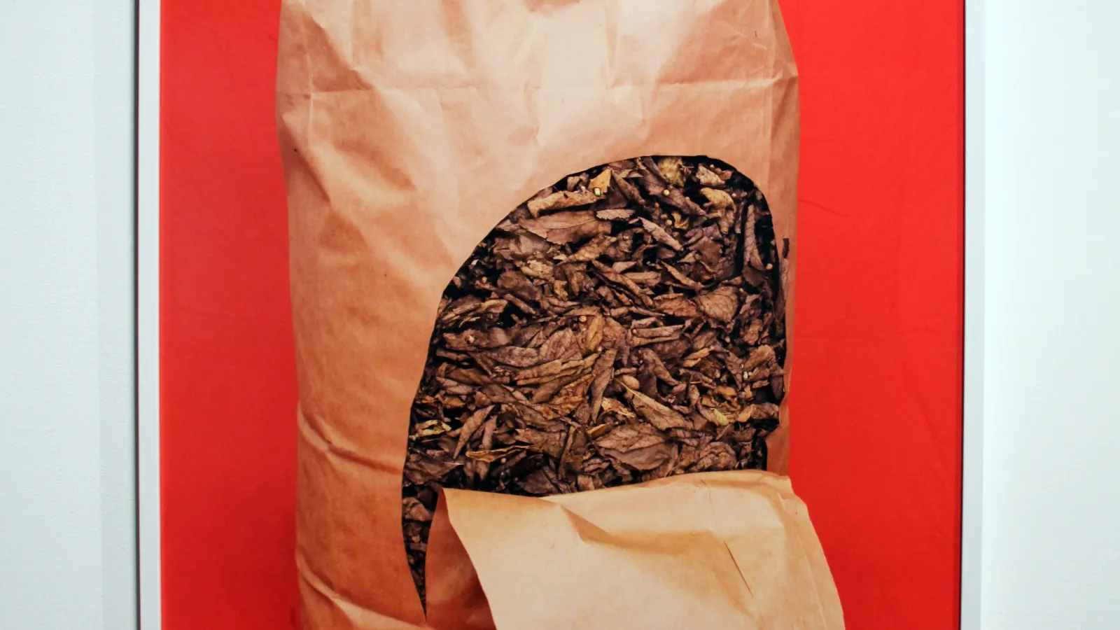 Image of Hannah Walsh: "Untitled," pigmented inkjet print, 2013