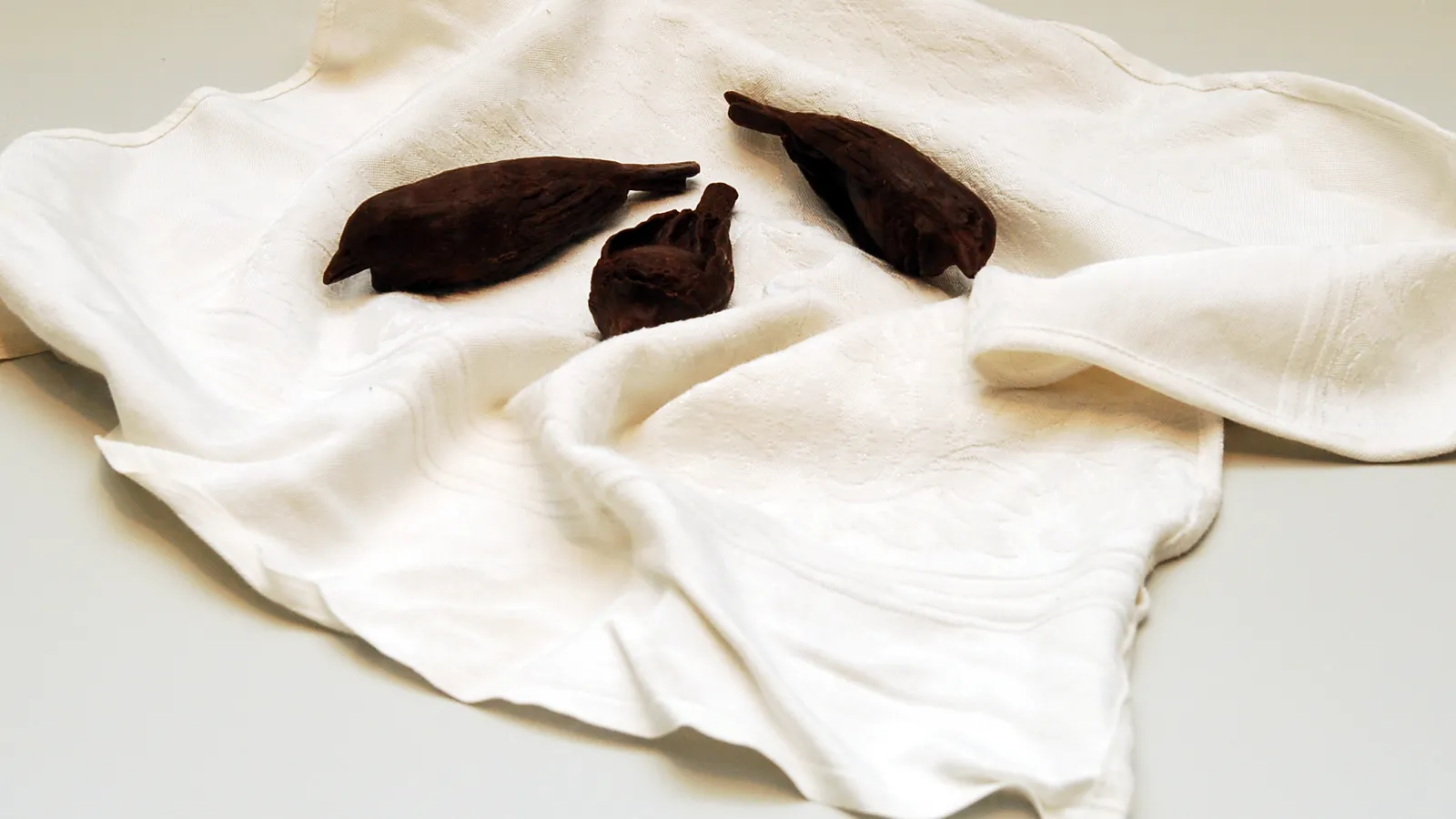 Lalie Douglas: The Potential of Objects, 2010