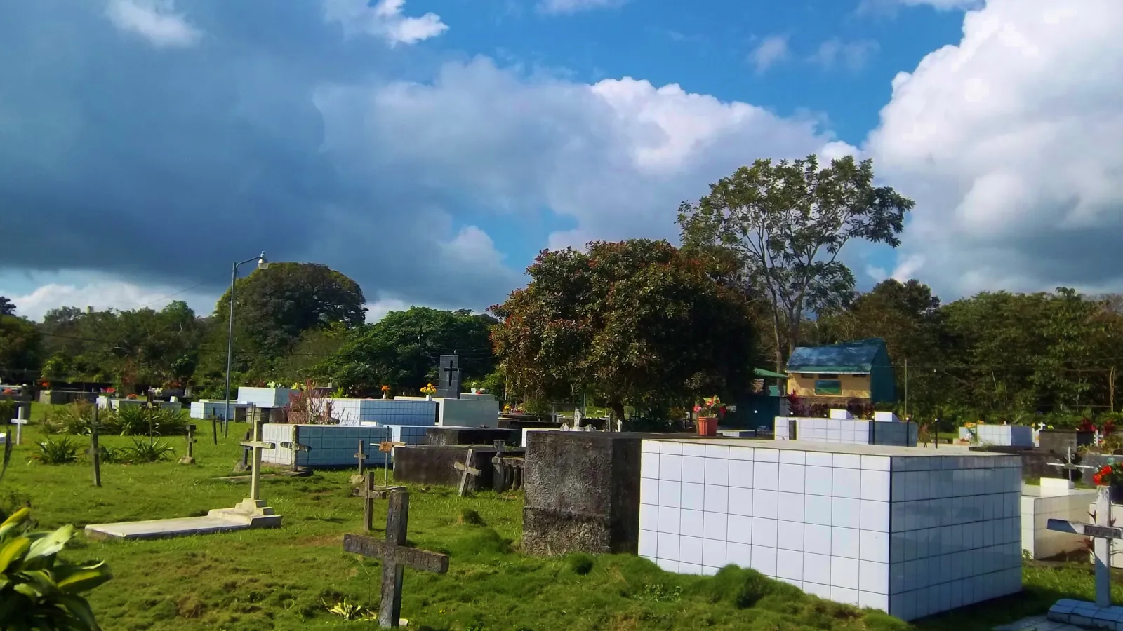 Image of Megan Chamberlain: "Sunny Day in Puerto Jimenez," photography