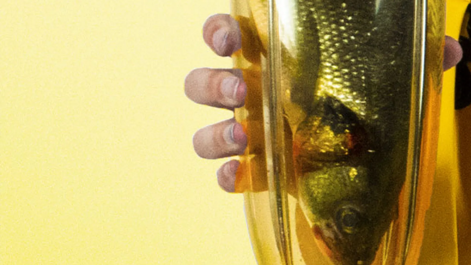 Miller Fish Thoughts 2
