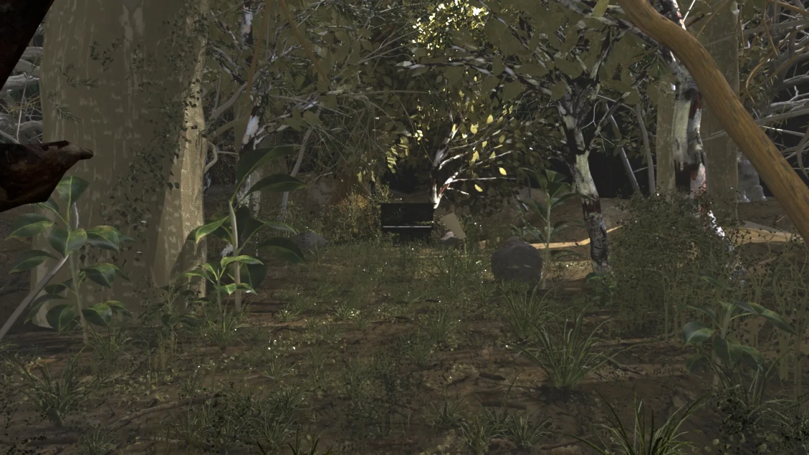 video still from Clayton Huber's "Natural Composer" 