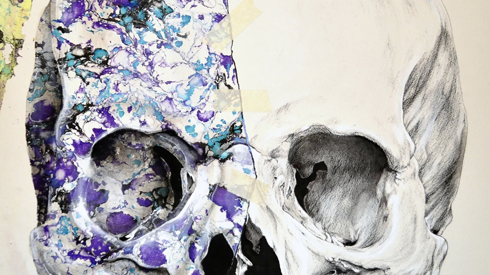 artwork of swirling colors in a human skull