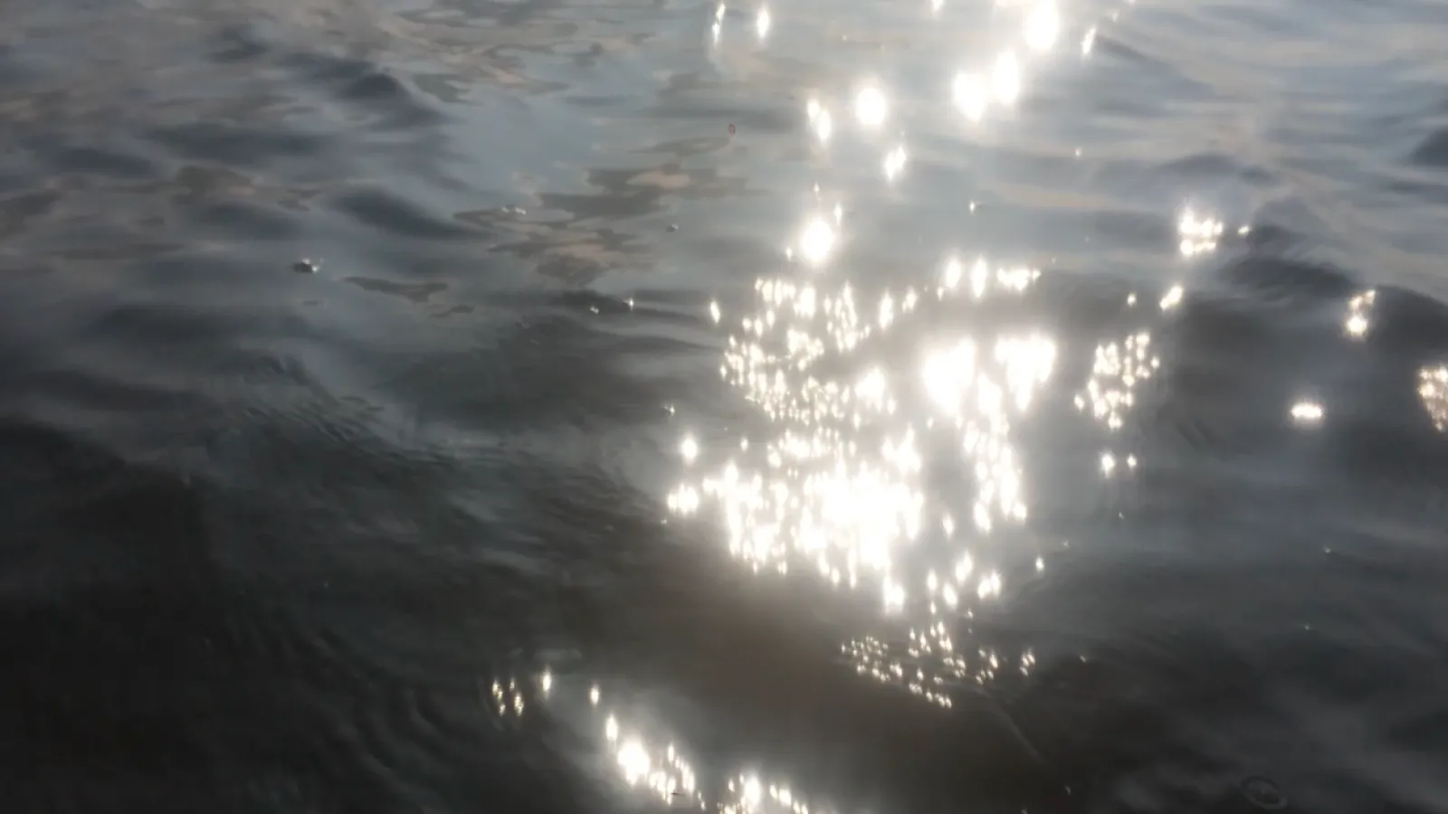 Cameron Sharp, still from video work