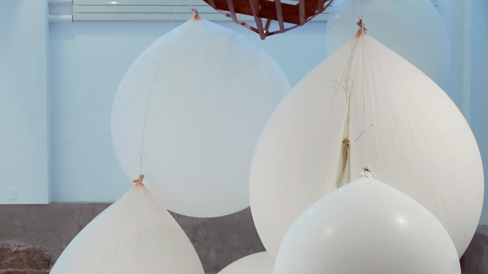 Sheilah Wilson: float, 2010