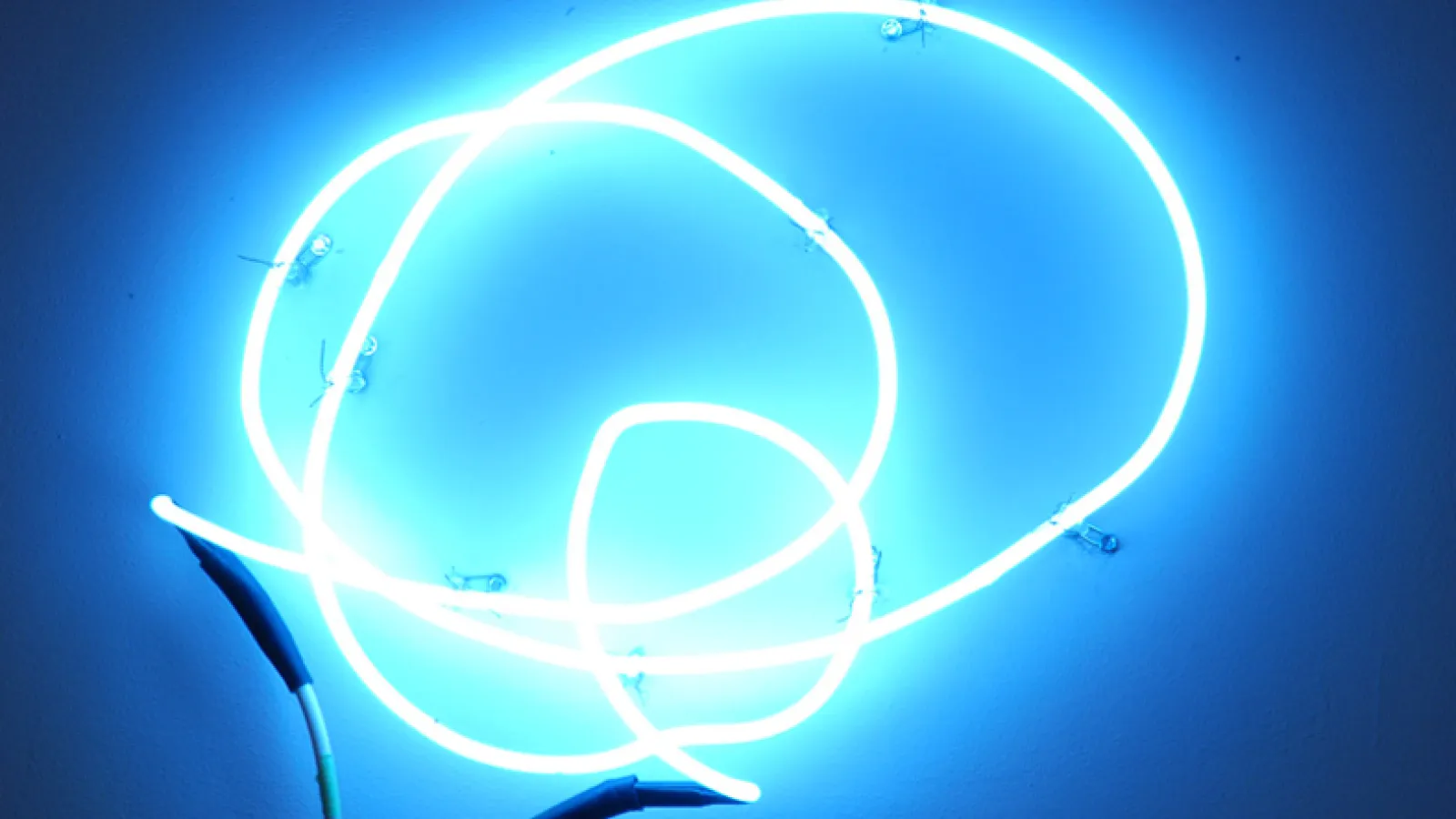 Suzanne Silver, Squiggle, 2008