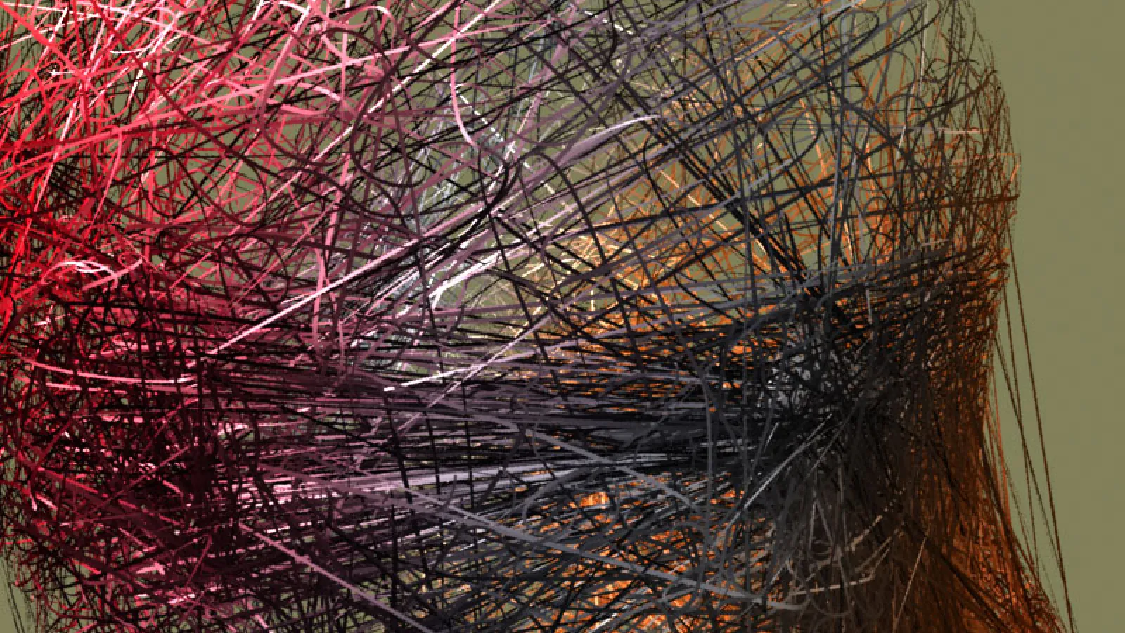 Tangled Web, unix environment, 2006