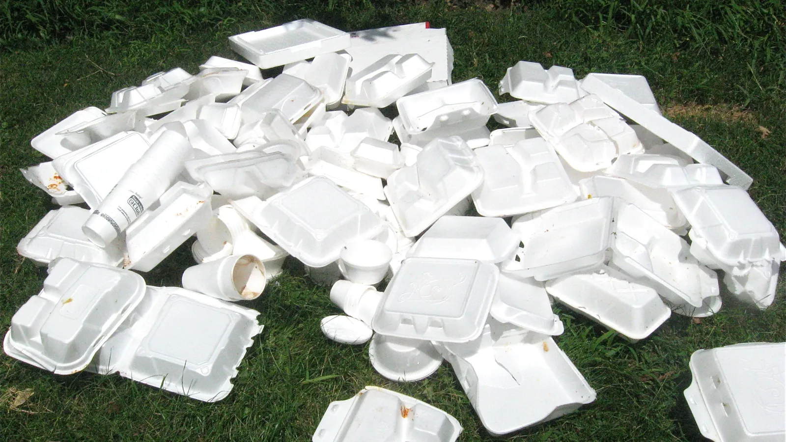 The Styrofoam Symphony Image