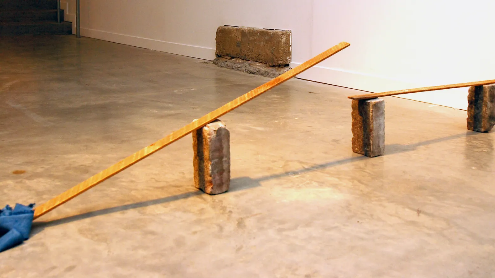 Rana Siegel: Waited, 2010