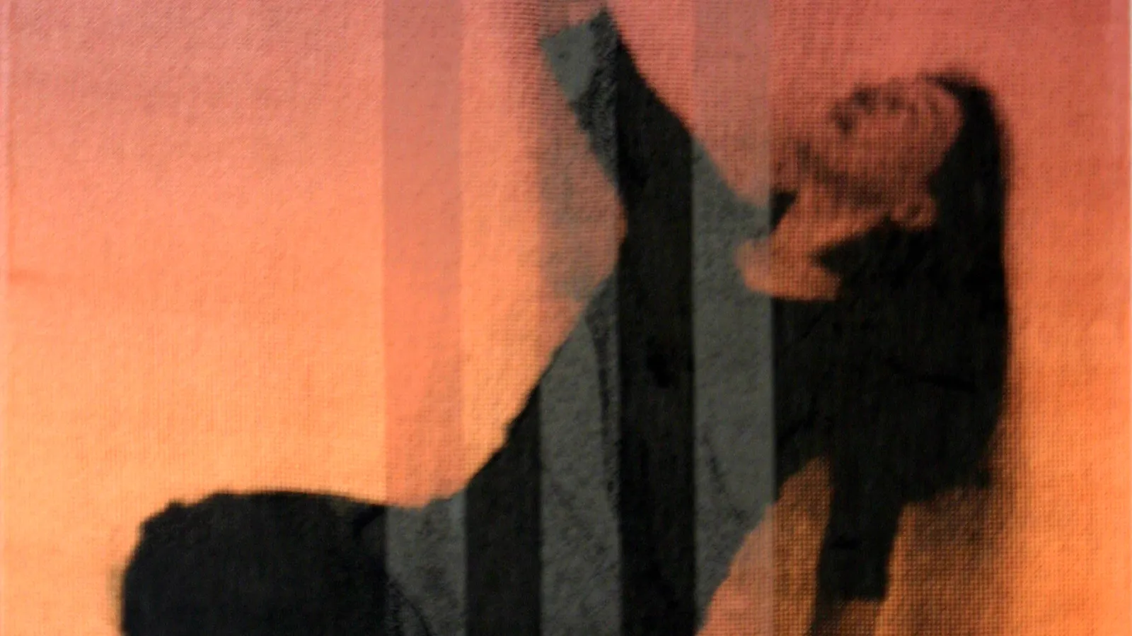 work Jean Kirsten: from series dancestudies, 2012, acrylic and fotecoat on polyester