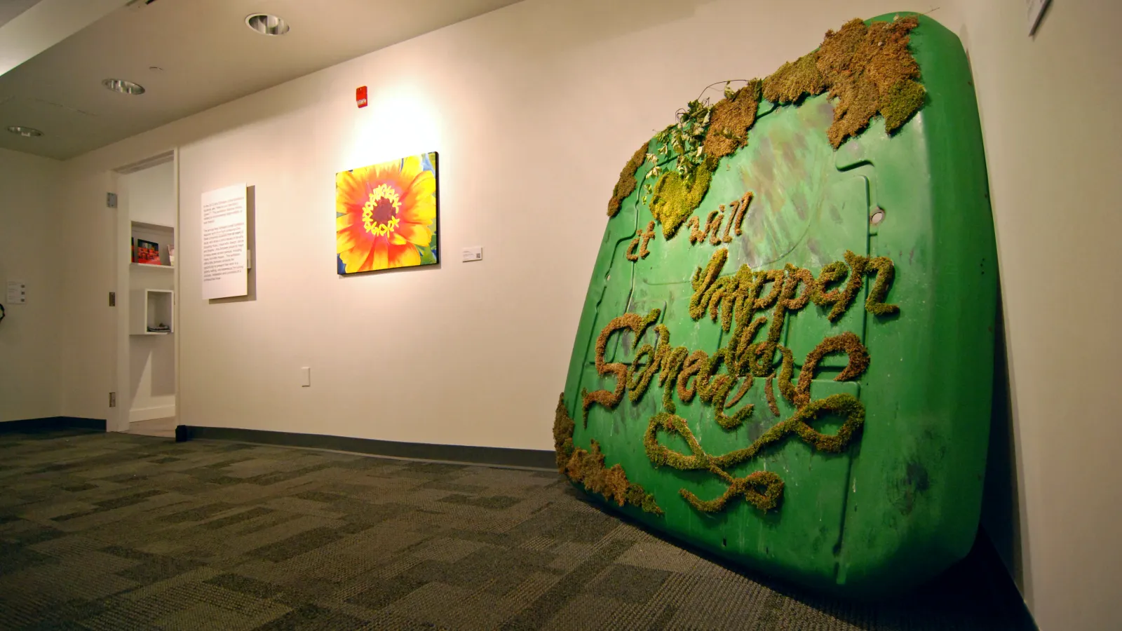 Gallery View Image