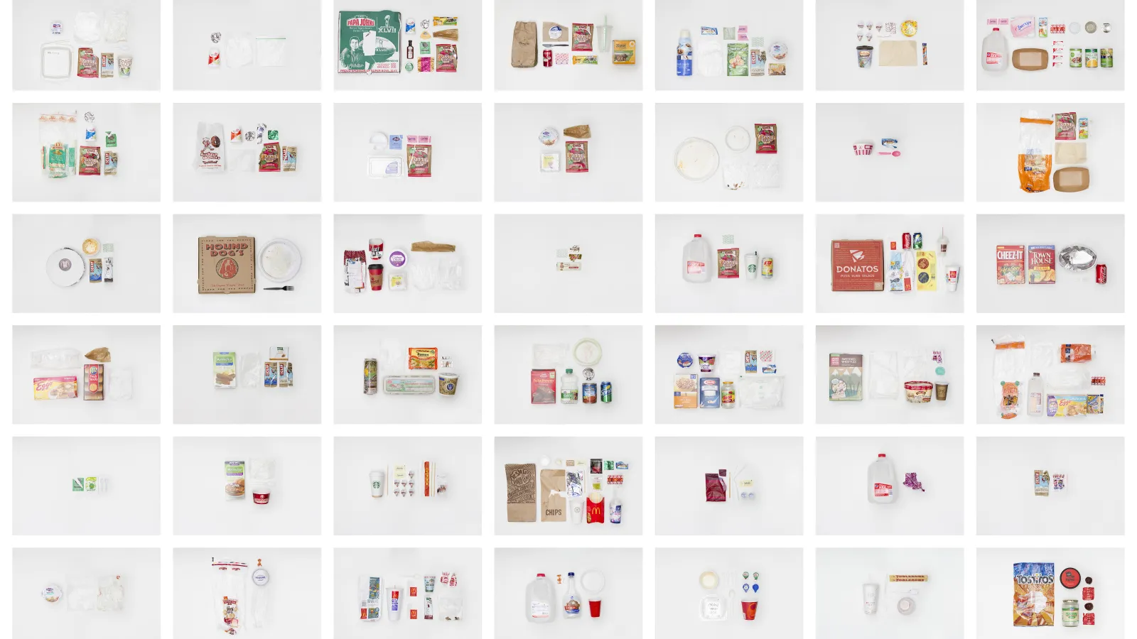 Image of Olivia Miller: "The Disposable Life," 24 digital inkjet prints