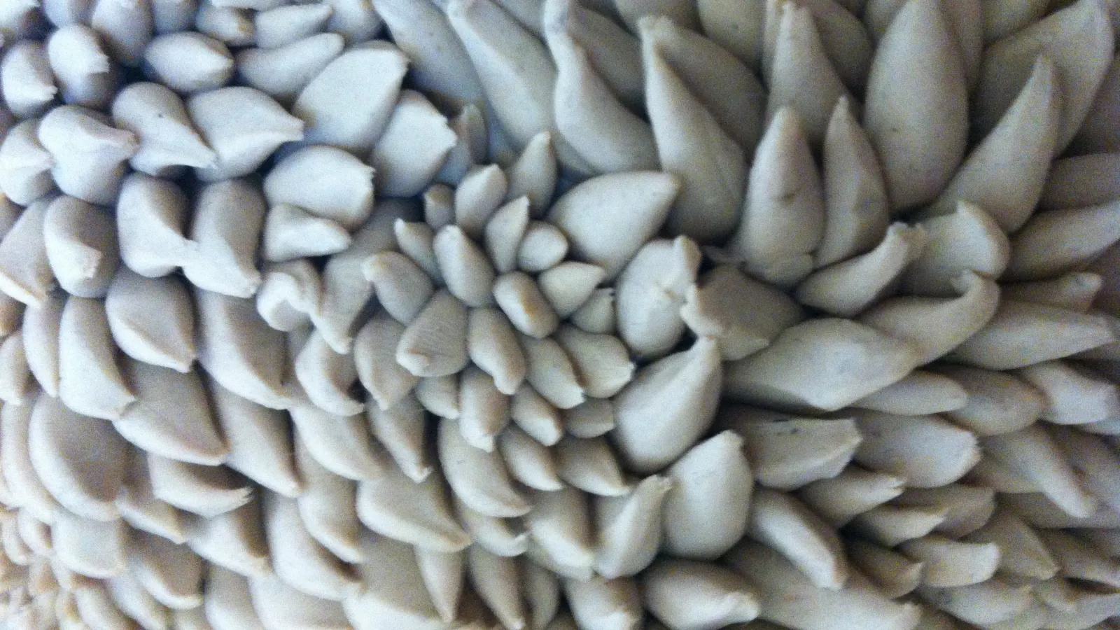 Molly Jo Burke: "Moving (detail)," plasticine, 2013