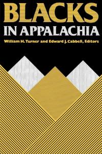 Blacks in Appalachia: A graphic cover featuring yellow and white striped mountain peaks against a black background. The title is displayed in large, bold, striped block lettering.