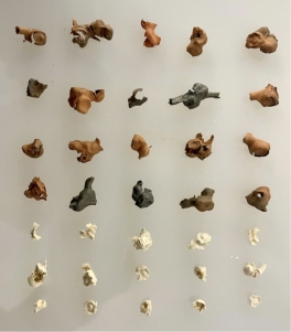 fossilized date stems hanging in an artistic order