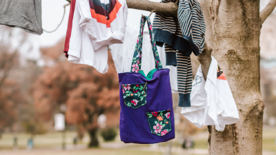 Several multicolored Tee Totes hang from a tree limb.