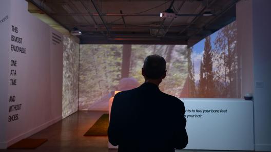 a person looking toward a projected nature scene