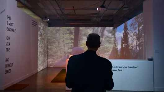 a person looking toward a projected nature scene