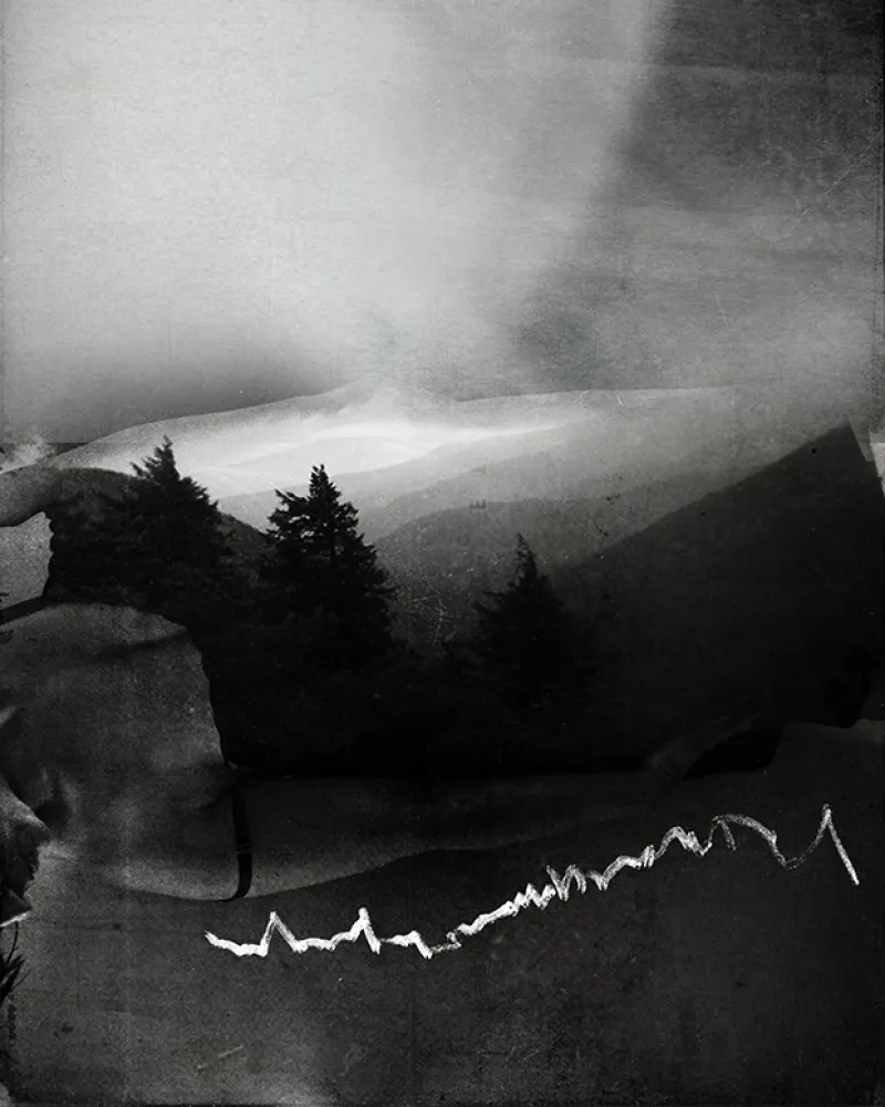 Digital Photograph