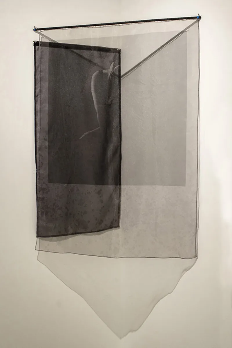 digital photograph printed on organza