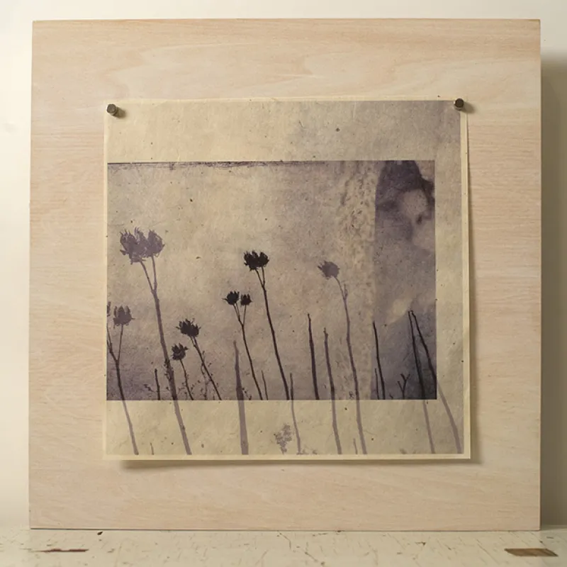 inkjet print on gampi paper