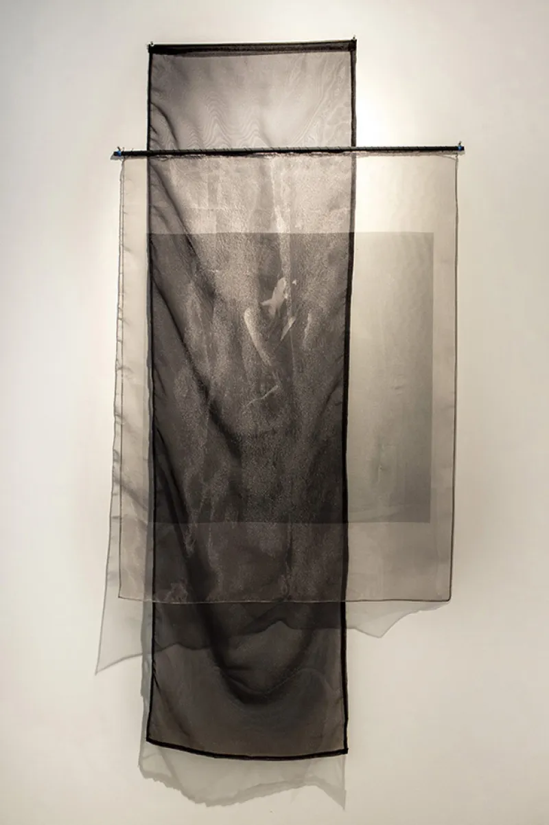 digital photograph printed on organza