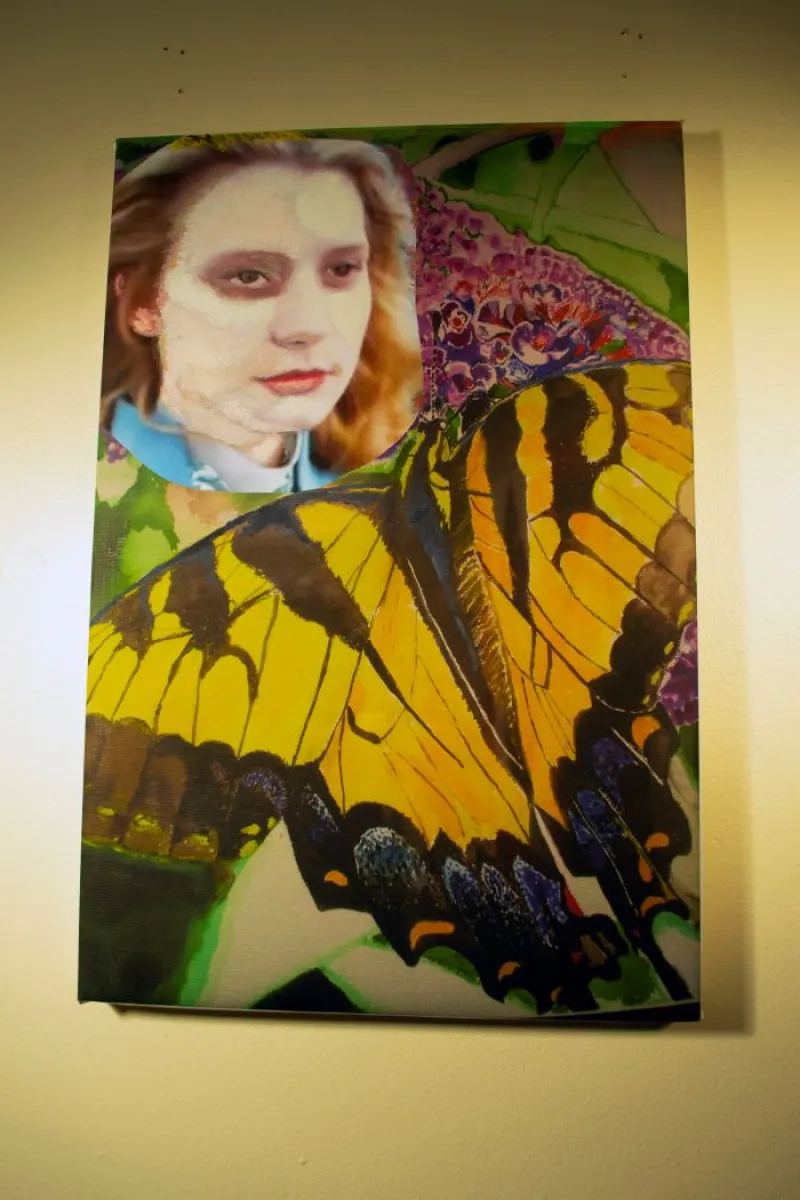 butterfly drawing