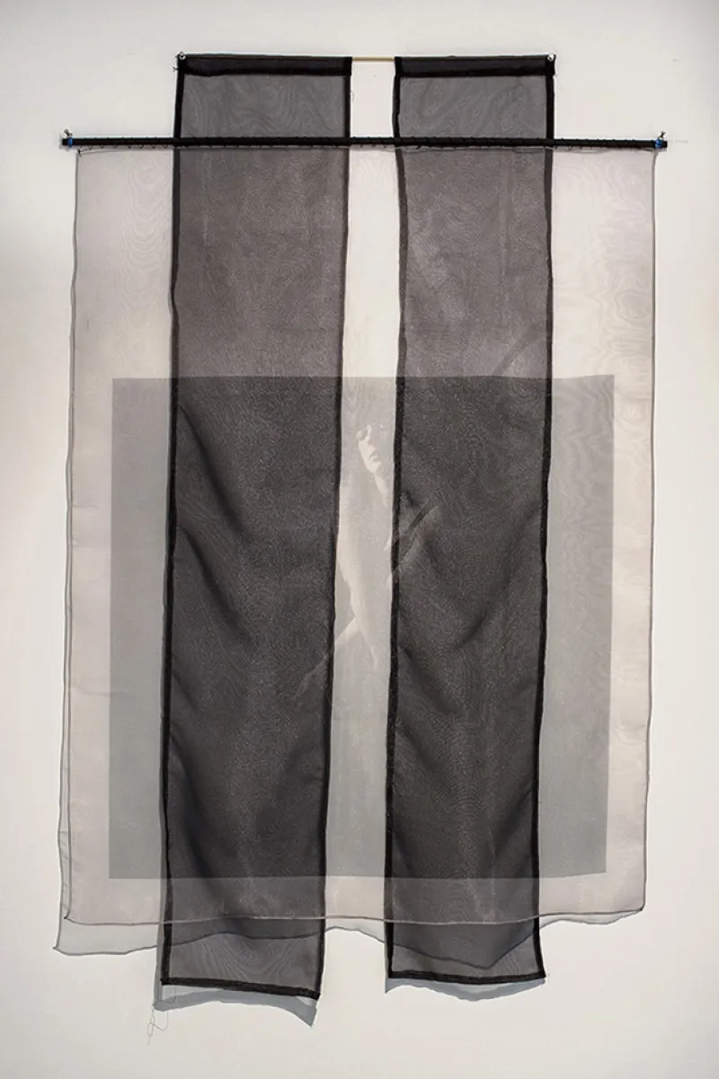 digital photograph printed on organza 