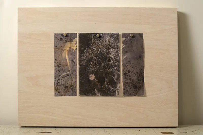 inkjet prints on tea bags