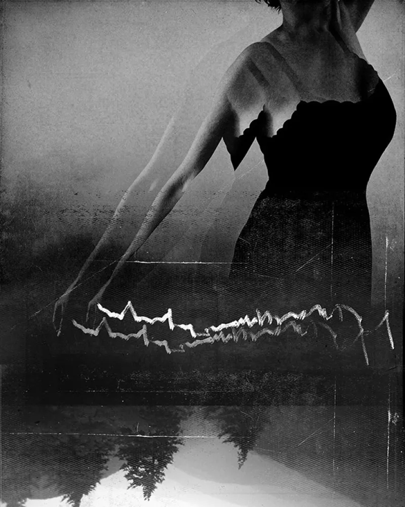 digital photograph