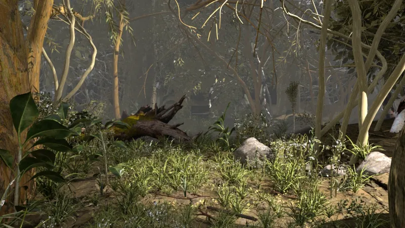 video still from Clayton Huber's "Natural Composer" 