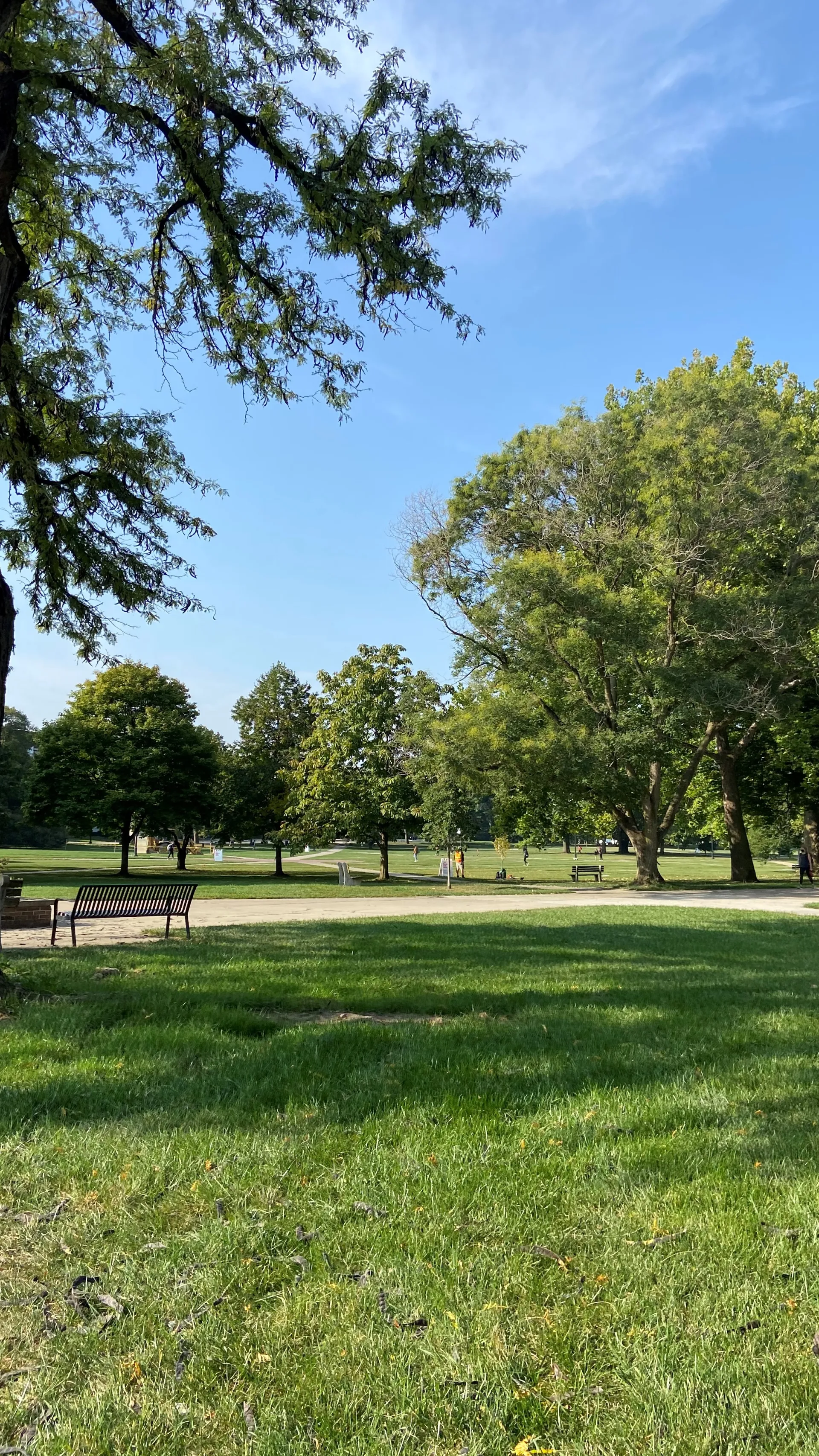Green Space on Ohio State Campus