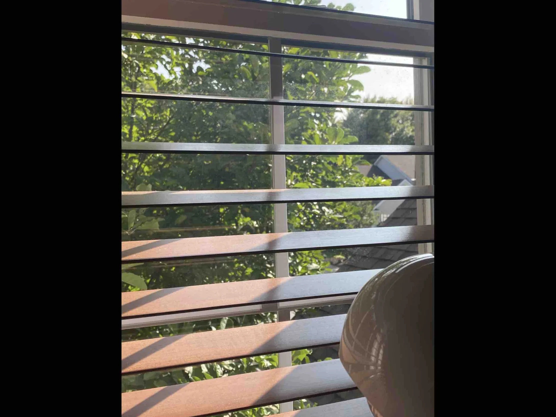 Window blinds covering open window