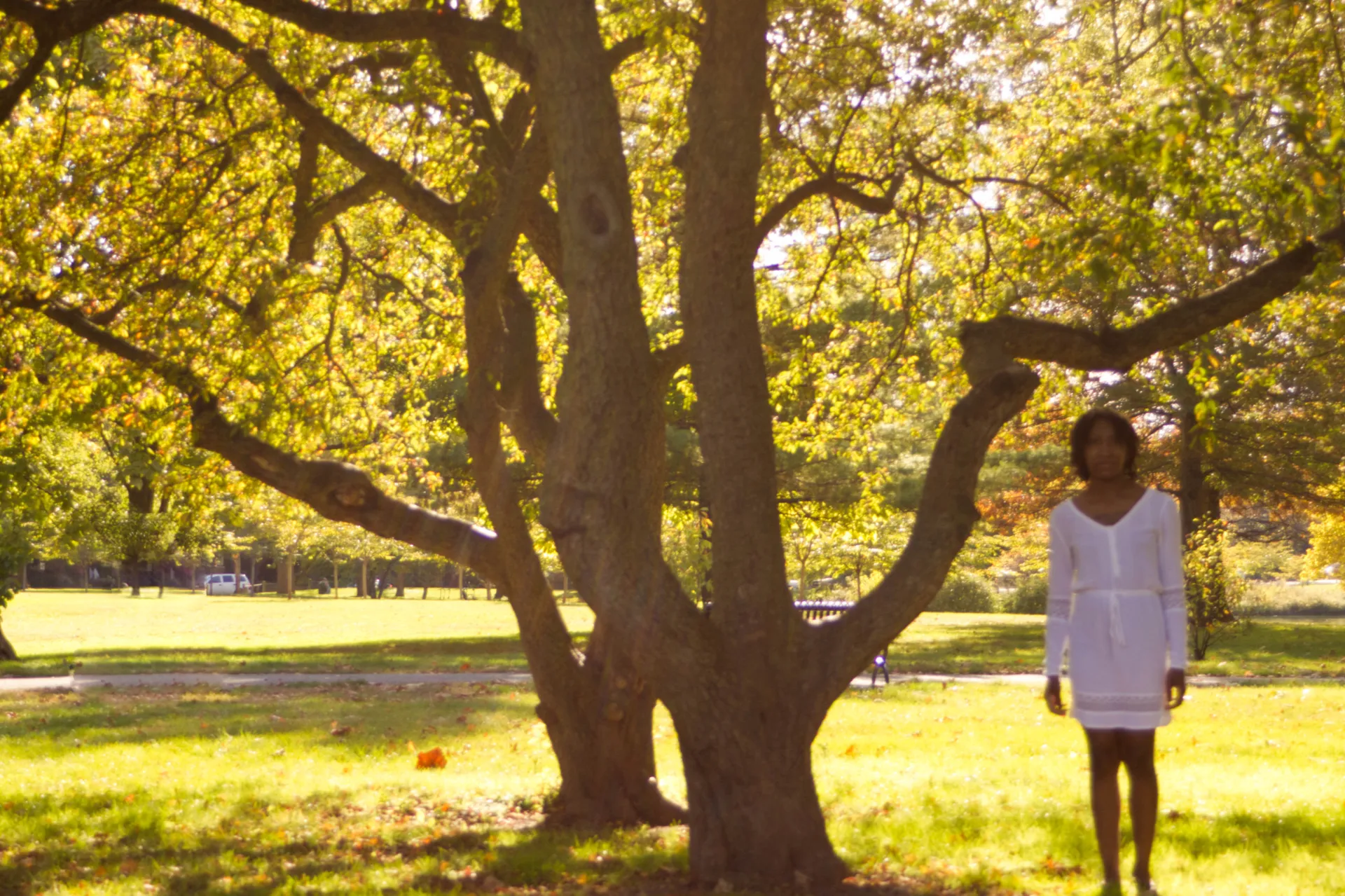 Woman and a tree