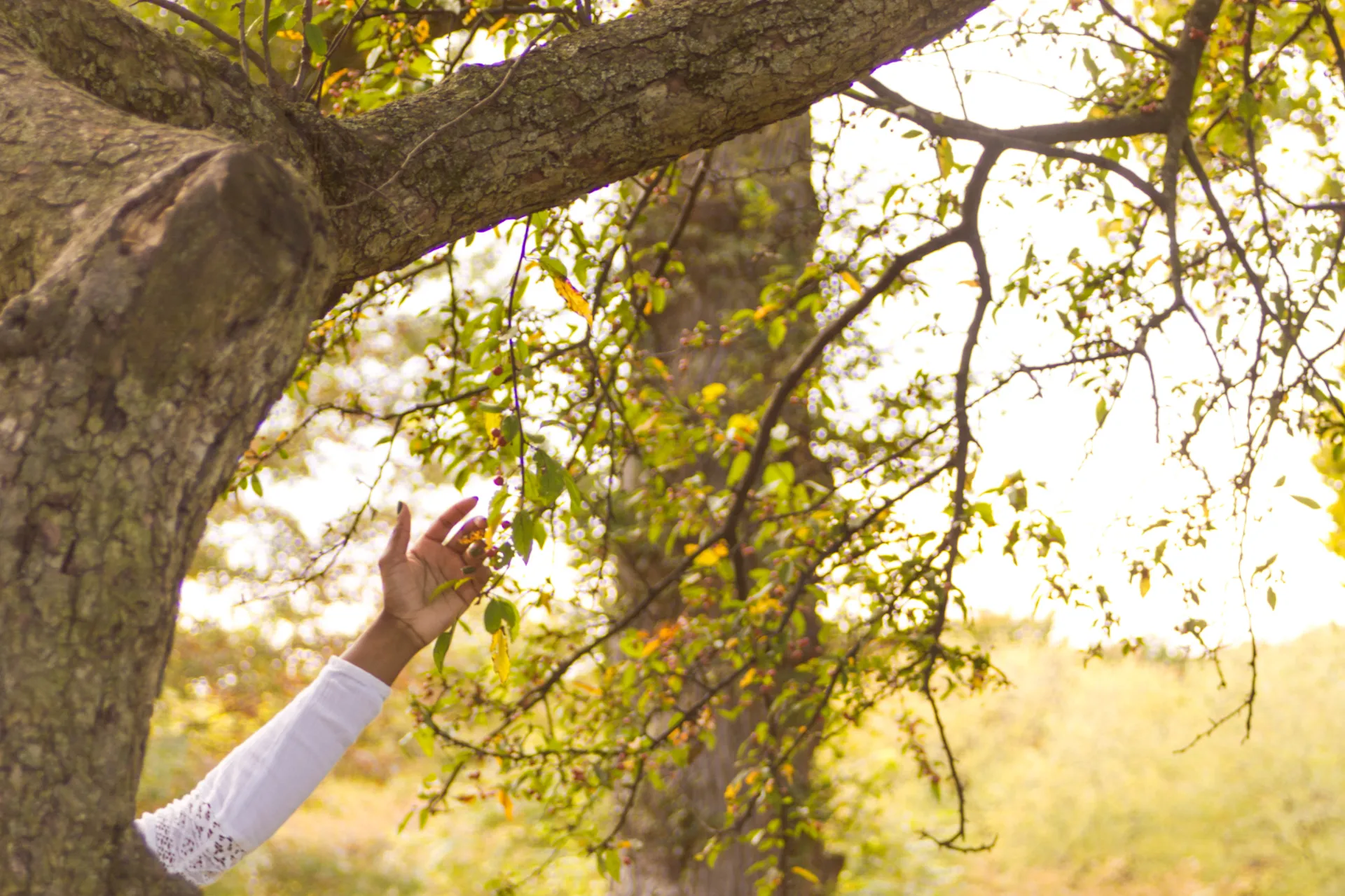 Woman and a tree