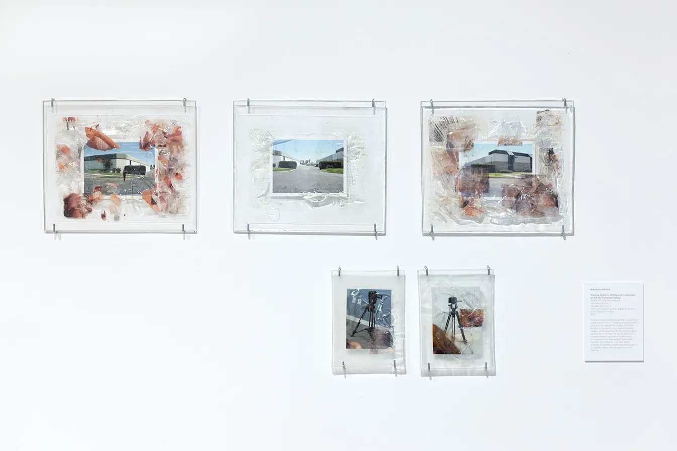 Install Image of 5 landsape images hanging on gallery wall