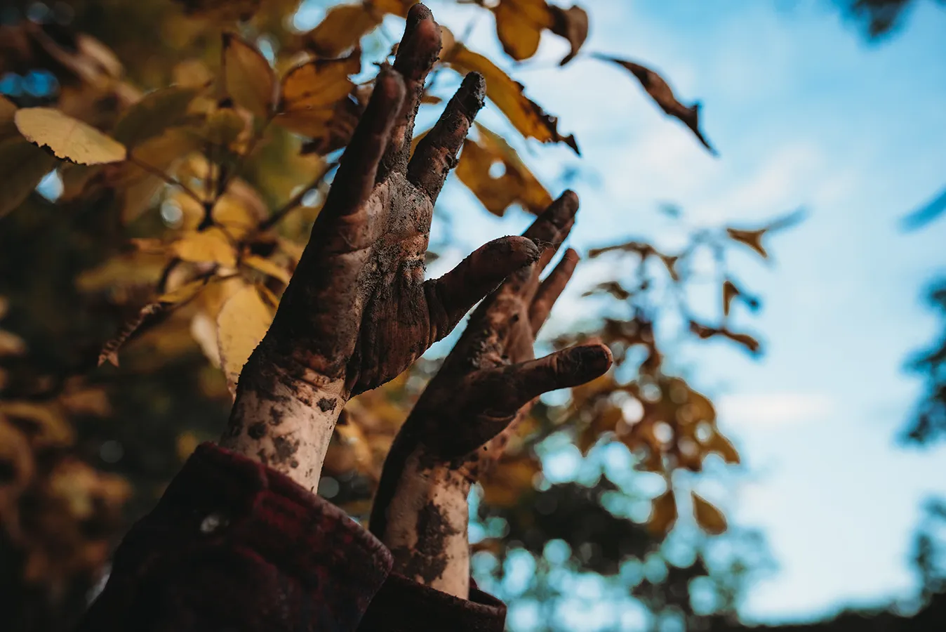 muddy hand reaching for the sky 