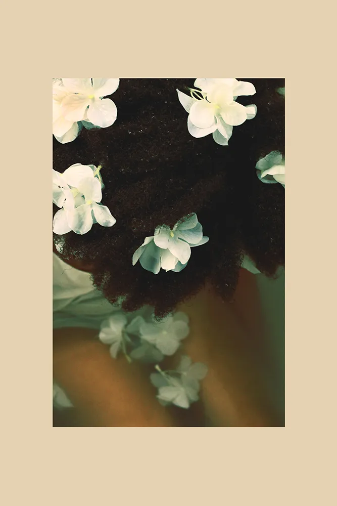 flowers floating in water