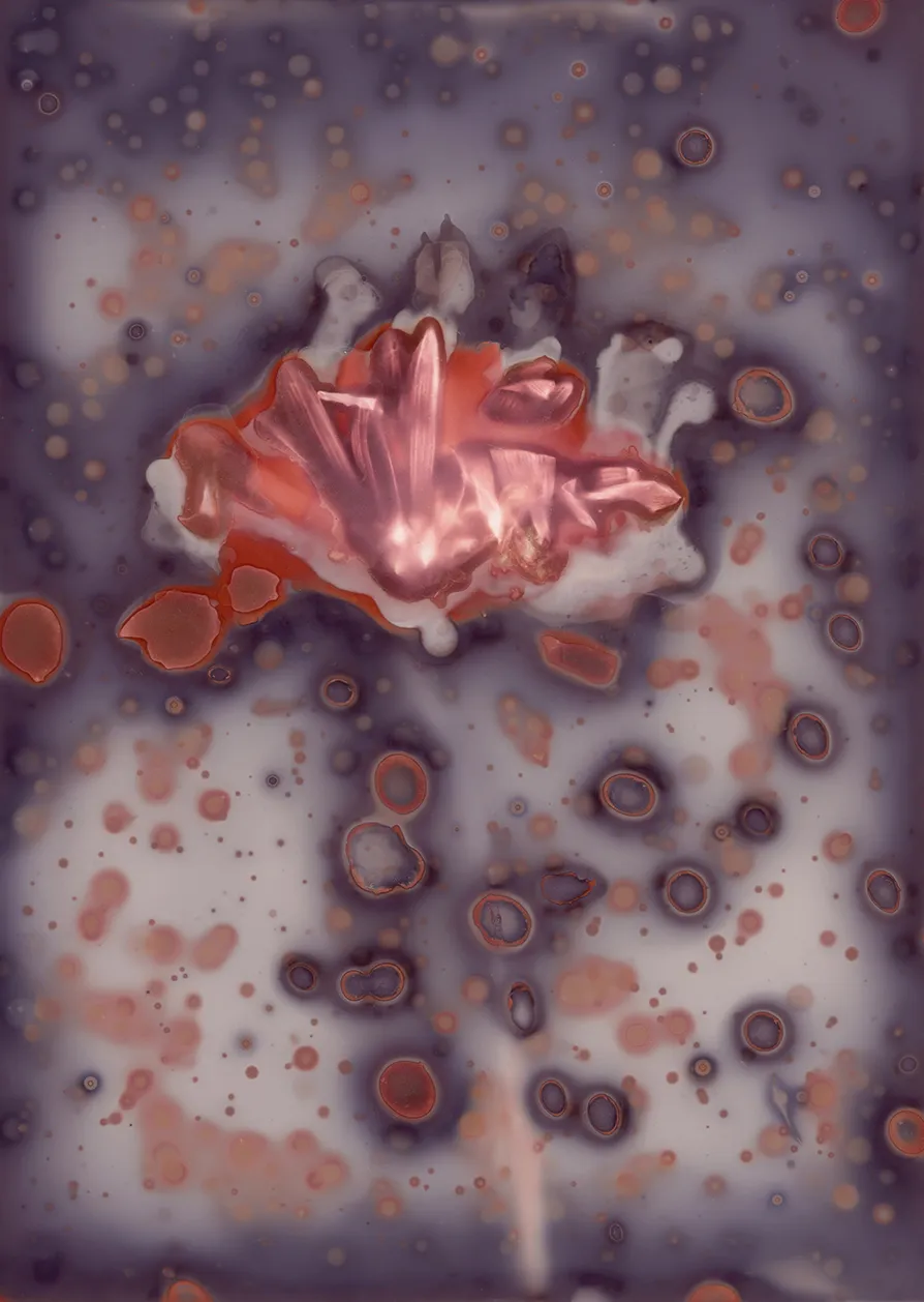 A photo of a peach-colored flower with orange and purple chemical spots on the film