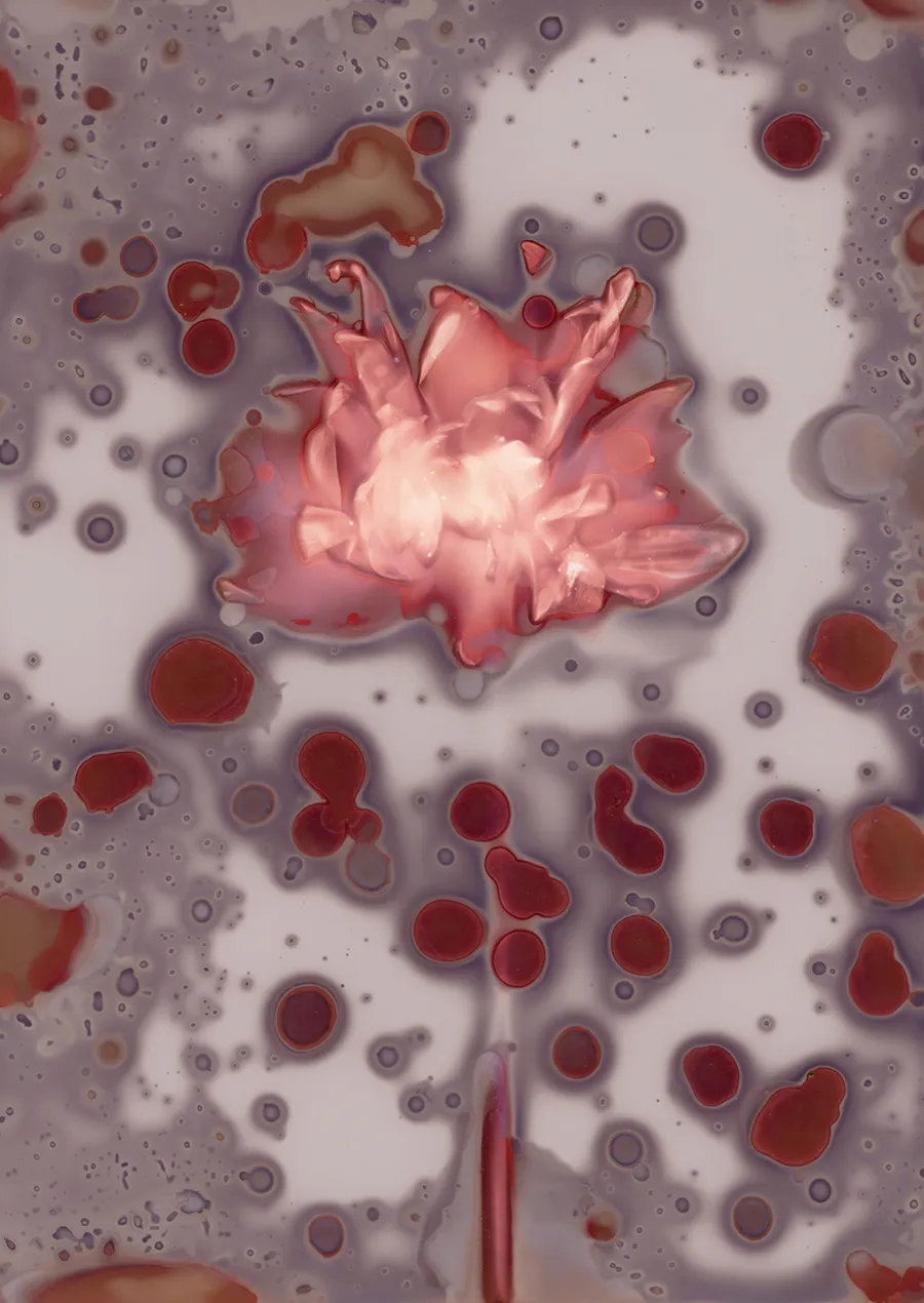 A photo of a peach-colored flower with red and gray chemical spots on the film
