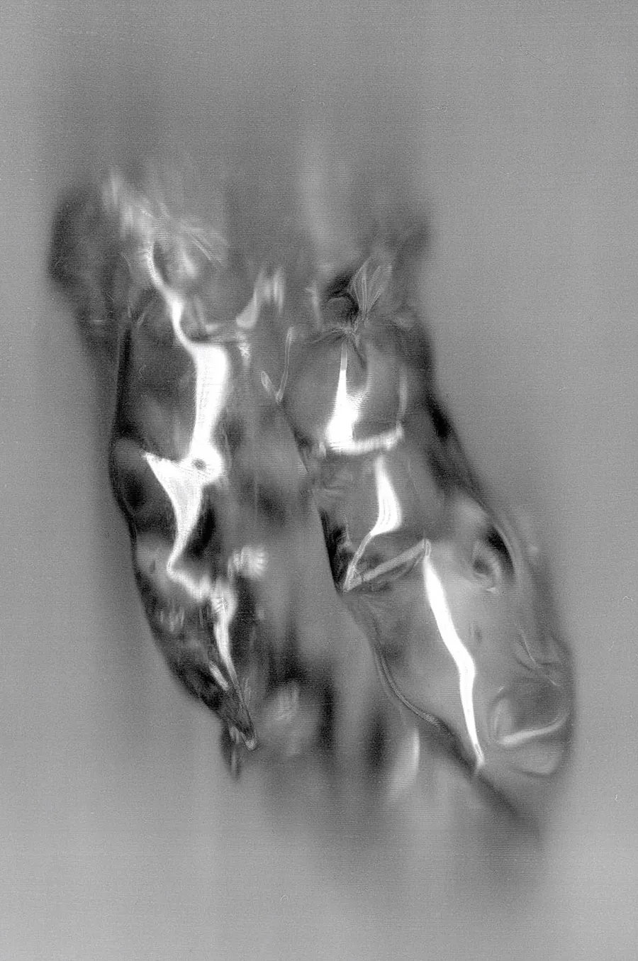 A blurry grayscale scan of a misshapen glass object