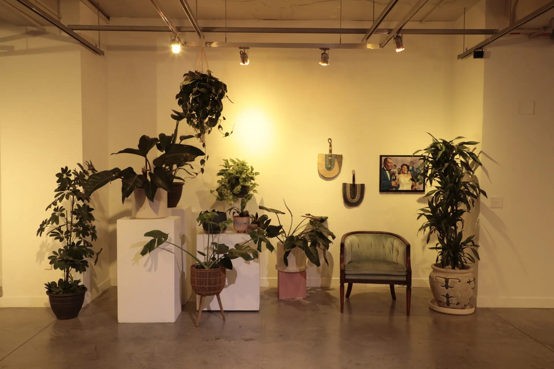 An armchair surrounded by large plants to the left on pedestals, hanging from the ceiling, or in planers on the ground. One large plant is to the right, with two fans on the wall behind it and a painting. 
