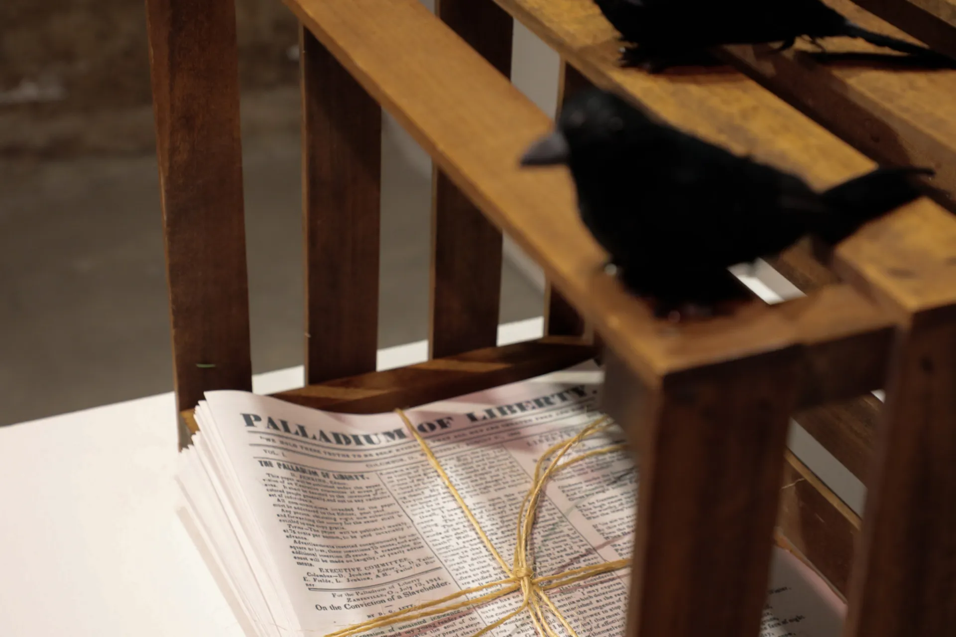 Copies of the Palladium of Liberty newspaper sit in the wooden crate on which the birds are perched. 
