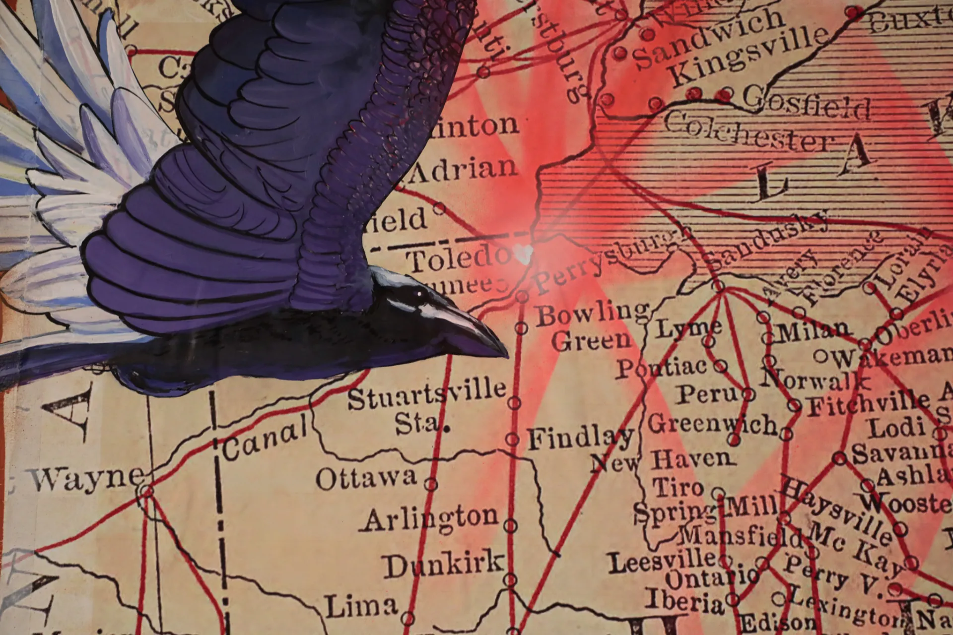 Close up of a map of Ohio with a bird flying 