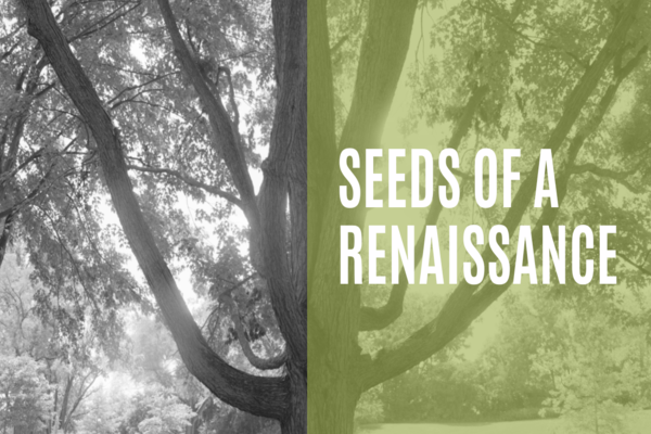 Seeds of a Renaissance - photo of a tree in black and white, with half the screen in green