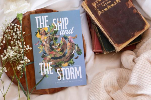 blue cover with collaged adam and eve and title the ship and the storm on a wooden circle