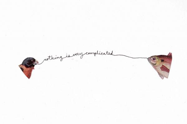 Dina Sherman: Nothing is Very Complicated