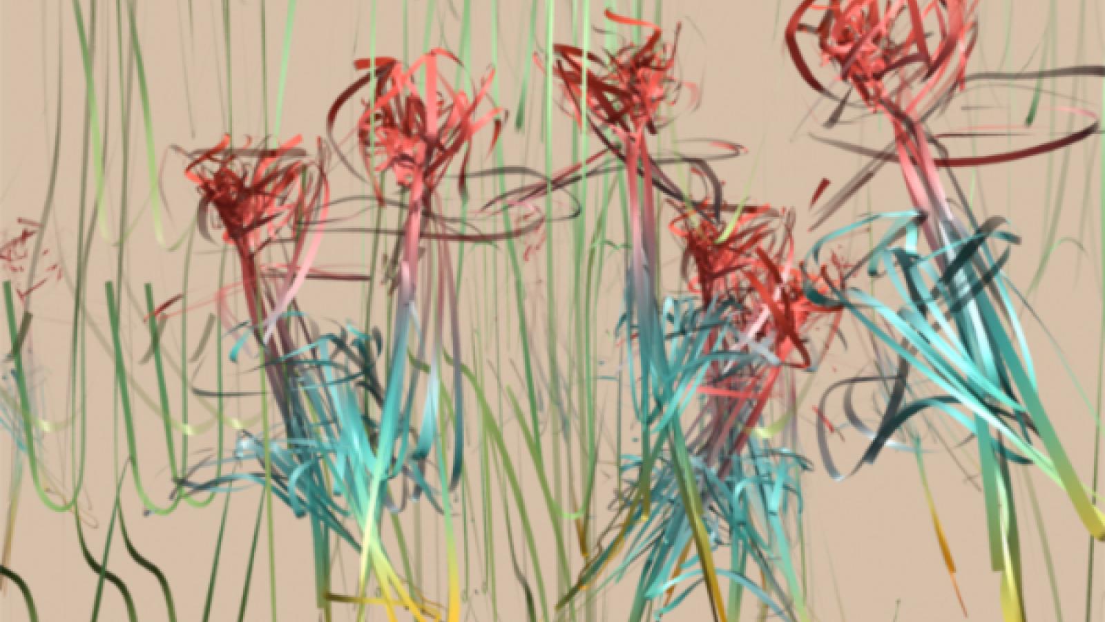 Flowers in Motion, Frame 080 ribROSE series, unix environment, 2004