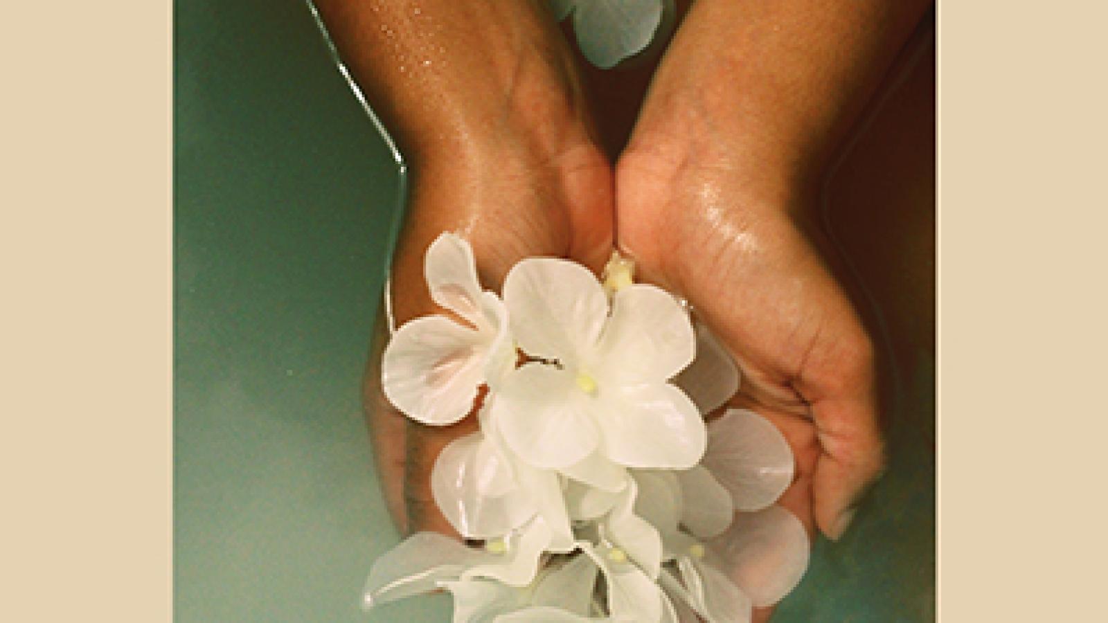 hands holding petals in water