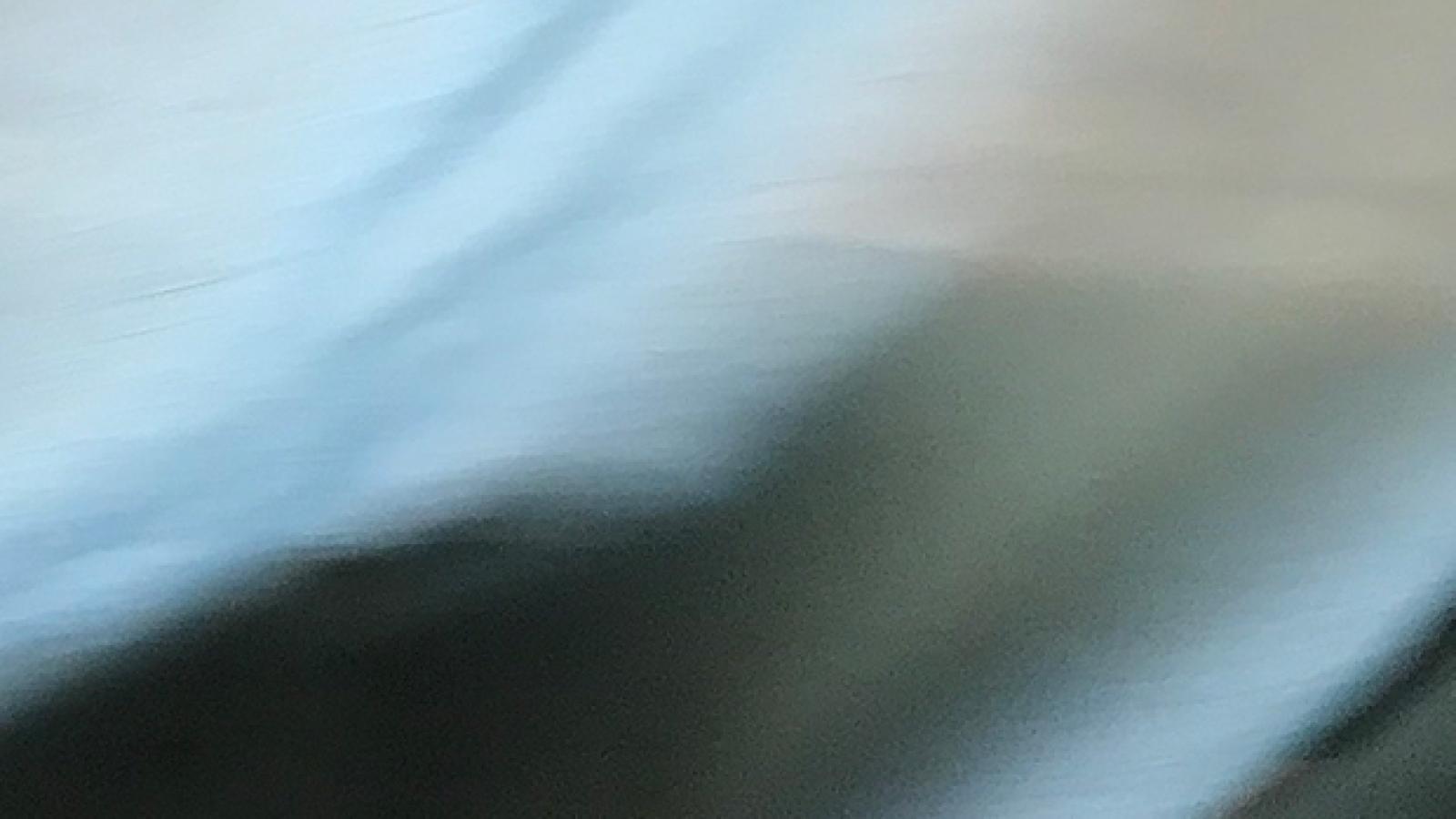 liminal habit exhibition detail image 