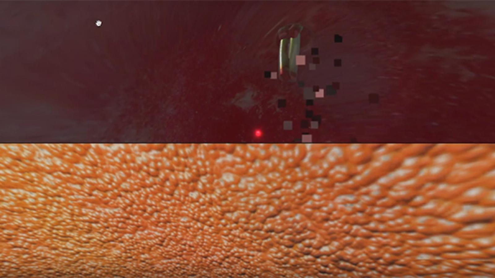 vegetal space still image